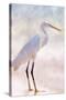 White Heron-Kimberly Allen-Stretched Canvas