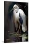 White Heron-Vivienne Dupont-Stretched Canvas