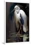 White Heron-Vivienne Dupont-Framed Art Print