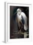 White Heron-Vivienne Dupont-Framed Art Print