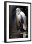 White Heron-Vivienne Dupont-Framed Art Print