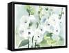 White Hollyhocks-Katrina Pete-Framed Stretched Canvas