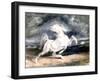 White Horse, 19th Century-Eugene Delacroix-Framed Giclee Print