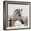 White Horse 3-Susan Vizvary-Framed Photographic Print
