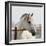 White Horse 3-Susan Vizvary-Framed Photographic Print