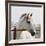 White Horse 3-Susan Vizvary-Framed Photographic Print