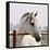 White Horse 3-Susan Vizvary-Framed Stretched Canvas