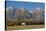 White Horse and Teton Mts, Moose Head Ranch, Grand Teton National Park, Wyoming-Michel Hersen-Stretched Canvas