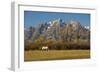 White Horse, Autumn, Grand Tetons, Grand Teton National Park, Wyoming, USA-Michel Hersen-Framed Photographic Print