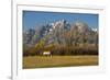 White Horse, Autumn, Grand Tetons, Grand Teton National Park, Wyoming, USA-Michel Hersen-Framed Photographic Print