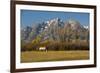 White Horse, Autumn, Grand Tetons, Grand Teton National Park, Wyoming, USA-Michel Hersen-Framed Photographic Print