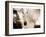 White Horse Black Nose-Theo Westenberger-Framed Art Print