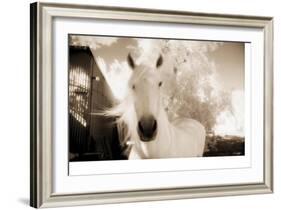 White Horse Black Nose-Theo Westenberger-Framed Photographic Print