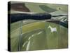 White Horse, Cherhill-Eric Hains-Stretched Canvas