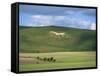 White Horse Dating from 1812 Carved in Chalk on Milk Hill, Marlborough Downs, Wiltshire, England-Robert Francis-Framed Stretched Canvas