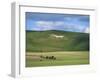 White Horse Dating from 1812 Carved in Chalk on Milk Hill, Marlborough Downs, Wiltshire, England-Robert Francis-Framed Photographic Print