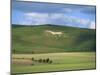 White Horse Dating from 1812 Carved in Chalk on Milk Hill, Marlborough Downs, Wiltshire, England-Robert Francis-Mounted Photographic Print