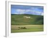 White Horse Dating from 1812 Carved in Chalk on Milk Hill, Marlborough Downs, Wiltshire, England-Robert Francis-Framed Photographic Print