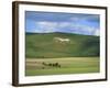 White Horse Dating from 1812 Carved in Chalk on Milk Hill, Marlborough Downs, Wiltshire, England-Robert Francis-Framed Photographic Print