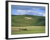 White Horse Dating from 1812 Carved in Chalk on Milk Hill, Marlborough Downs, Wiltshire, England-Robert Francis-Framed Photographic Print