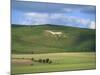 White Horse Dating from 1812 Carved in Chalk on Milk Hill, Marlborough Downs, Wiltshire, England-Robert Francis-Mounted Photographic Print