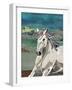 White Horse Freedom-Jenny McGee-Framed Art Print