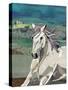 White Horse Freedom-Jenny McGee-Stretched Canvas