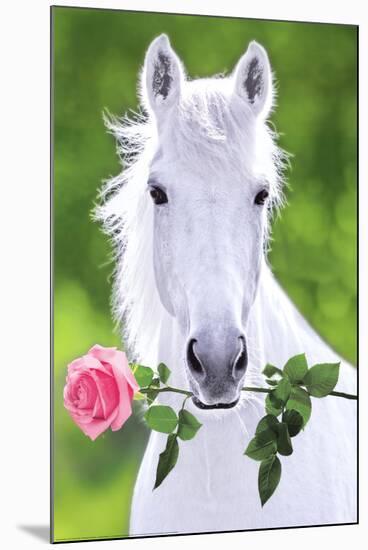 White Horse (Holding Pink Rose) Art Poster Print-null-Mounted Poster