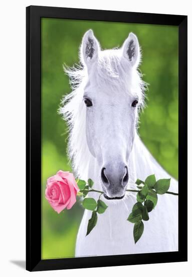 White Horse (Holding Pink Rose) Art Poster Print-null-Framed Poster