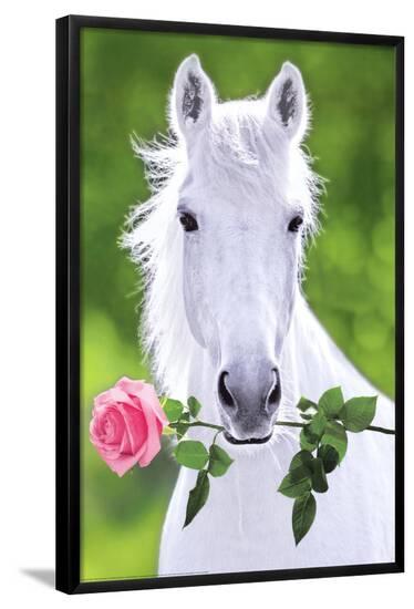 Poster, , large