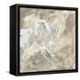 White Horse I-Chris Paschke-Framed Stretched Canvas