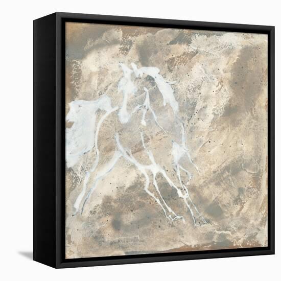 White Horse I-Chris Paschke-Framed Stretched Canvas