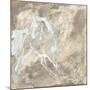 White Horse I-Chris Paschke-Mounted Art Print