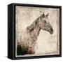 White Horse I-Irena Orlov-Framed Stretched Canvas