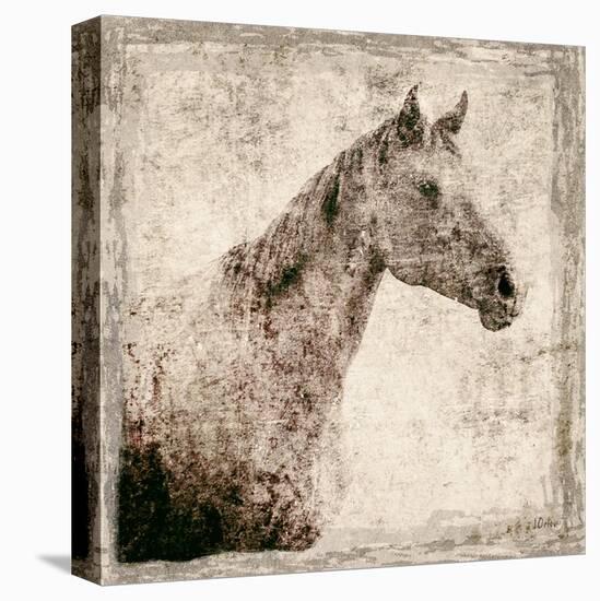 White Horse I-Irena Orlov-Stretched Canvas