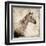 White Horse I-Irena Orlov-Framed Art Print