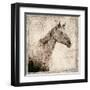 White Horse I-Irena Orlov-Framed Art Print