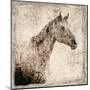 White Horse I-Irena Orlov-Mounted Art Print