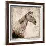 White Horse I-Irena Orlov-Framed Art Print