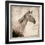 White Horse I-Irena Orlov-Framed Art Print