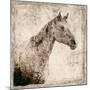 White Horse I-Irena Orlov-Mounted Art Print