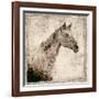 White Horse I-Irena Orlov-Framed Art Print