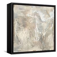 White Horse II-Chris Paschke-Framed Stretched Canvas
