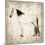 White Horse II-Irena Orlov-Mounted Art Print