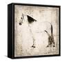 White Horse II-Irena Orlov-Framed Stretched Canvas