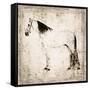 White Horse II-Irena Orlov-Framed Stretched Canvas