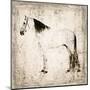 White Horse II-Irena Orlov-Mounted Art Print