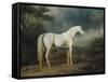 White Horse in a Wooded Landscape, 1791-Sawrey Gilpin-Framed Stretched Canvas