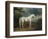 White Horse in a Wooded Landscape, 1791-Sawrey Gilpin-Framed Giclee Print