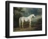 White Horse in a Wooded Landscape, 1791-Sawrey Gilpin-Framed Giclee Print